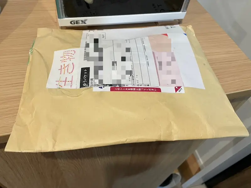 郵便で届いたエビたち