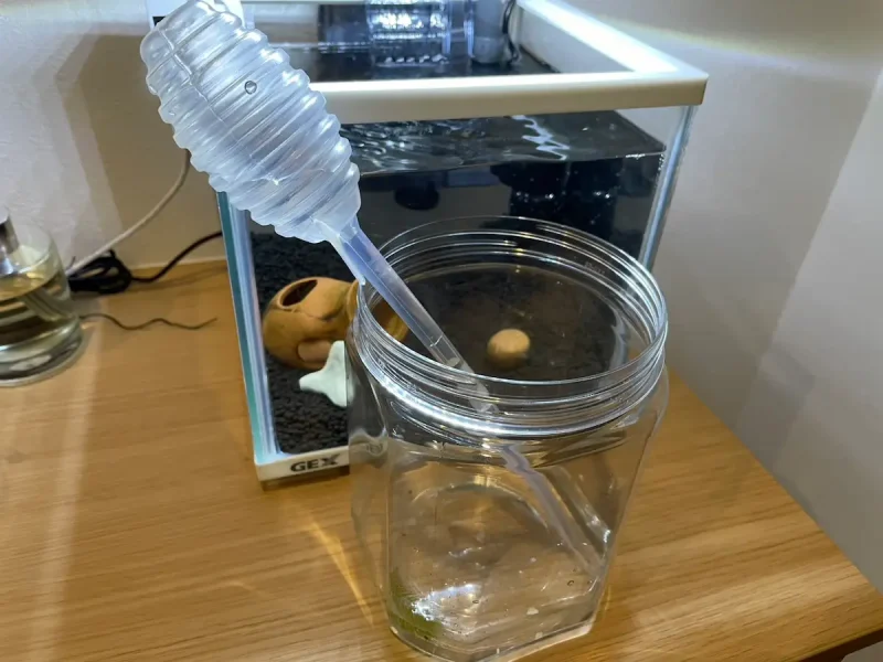 ミナミヌマエビの水合わせ中