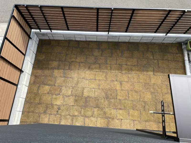 上から見上げた芝生