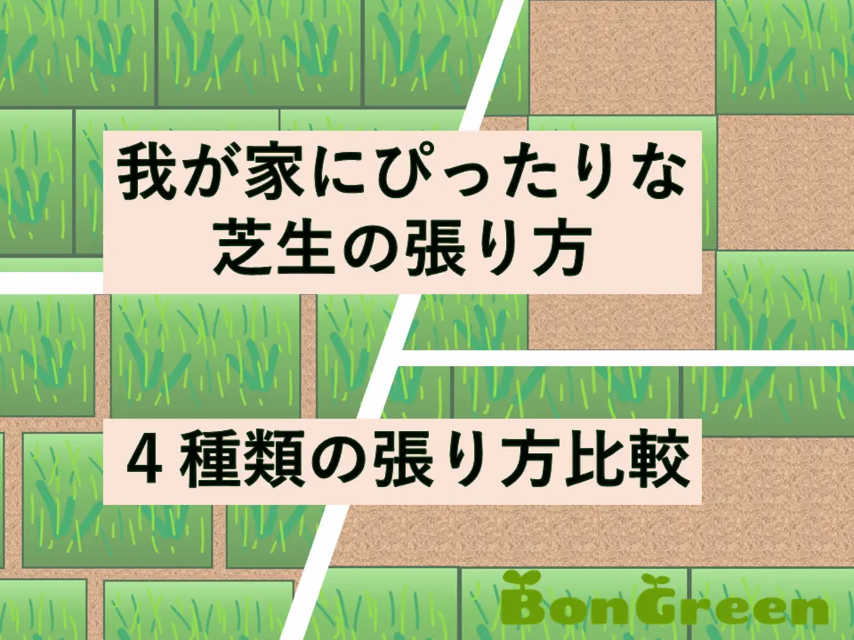 4種類の芝生張り方比較