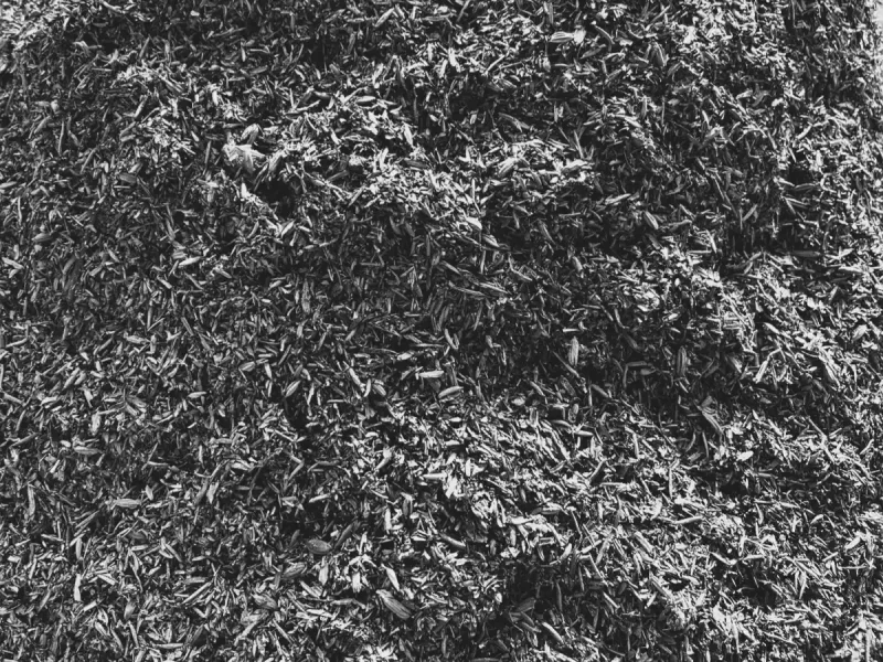 燻炭の拡大画像