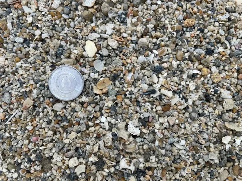 取り除いた不純物