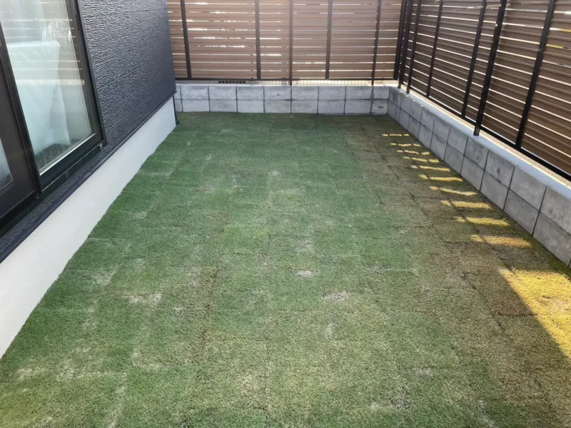 芝張り１か月後の様子